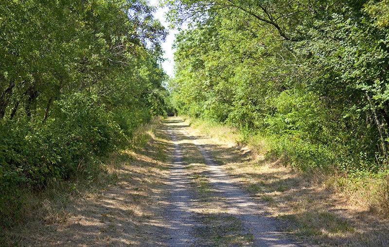 Partez en balade