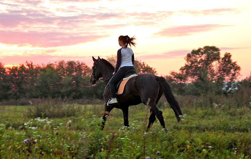 Horseback Riding