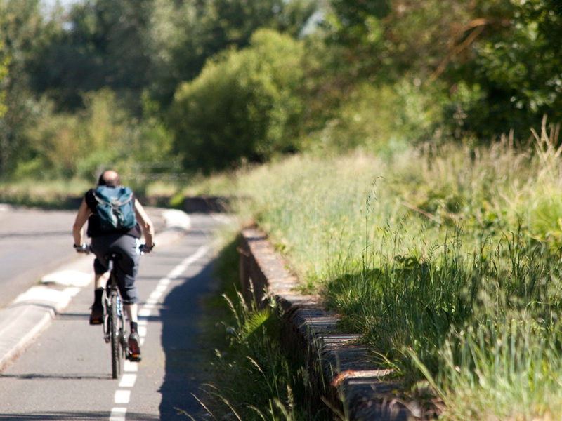 Adult and children bicycles